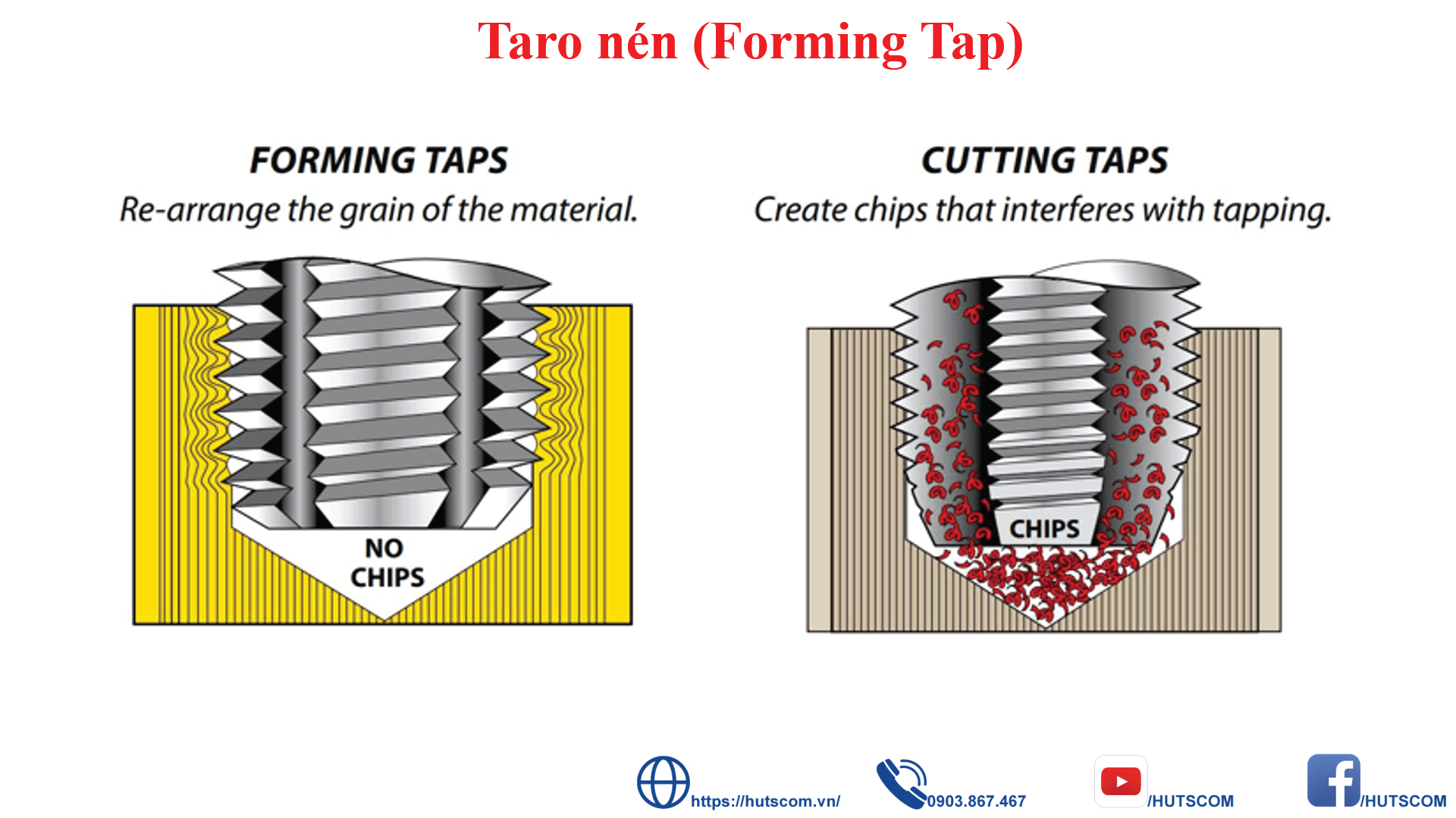 Taro cắt