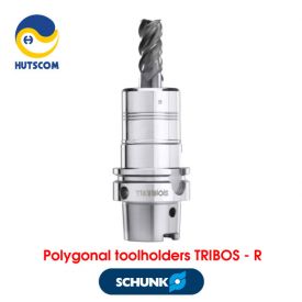 Đầu Kẹp Đa Giác SCHUNK TRIBOS-R